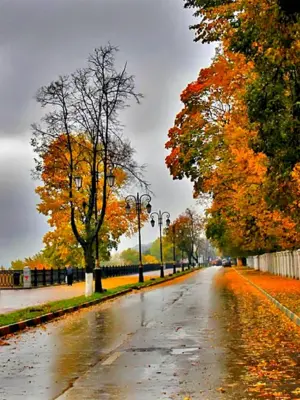 Александровский сад Нижний Новгород осенью
