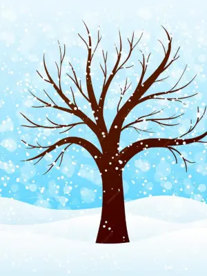 Деревья зимой для детей