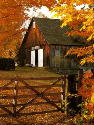Деревня домик осень двор темень