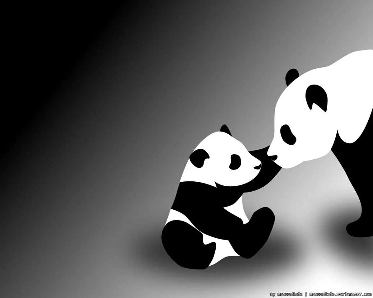 Две черно белые панды