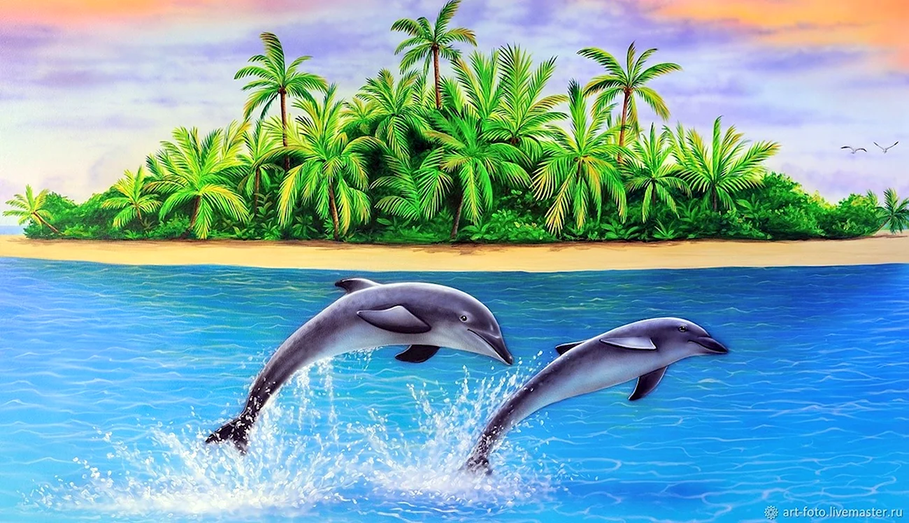 Фотообои дельфины на стену