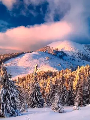 Горы Карпаты зима