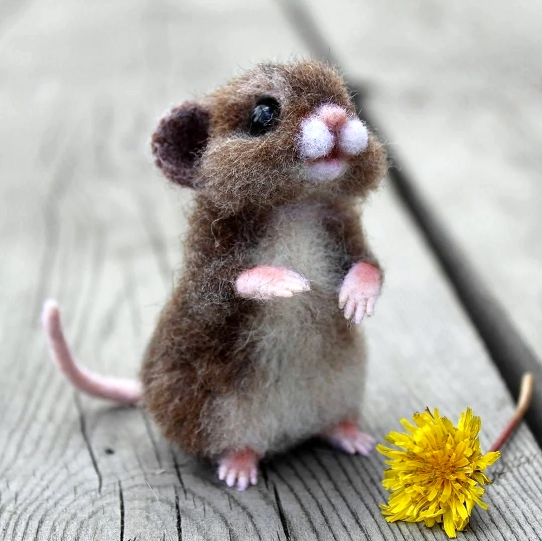 Японская карликовая мышь