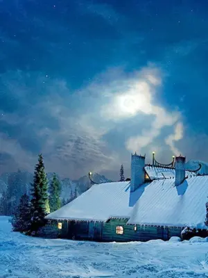 Иван Саввич Никитин зимняя ночь в деревне