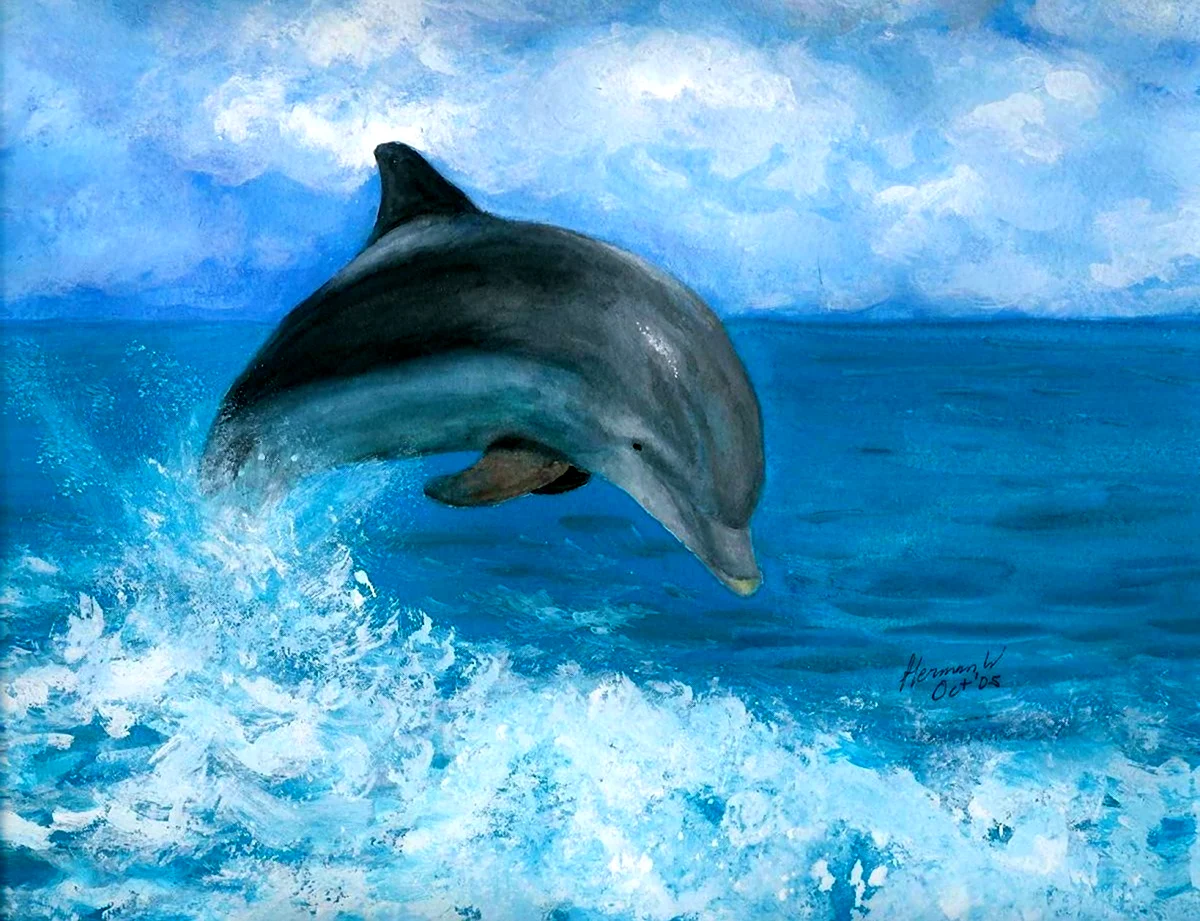 Картина дельфина