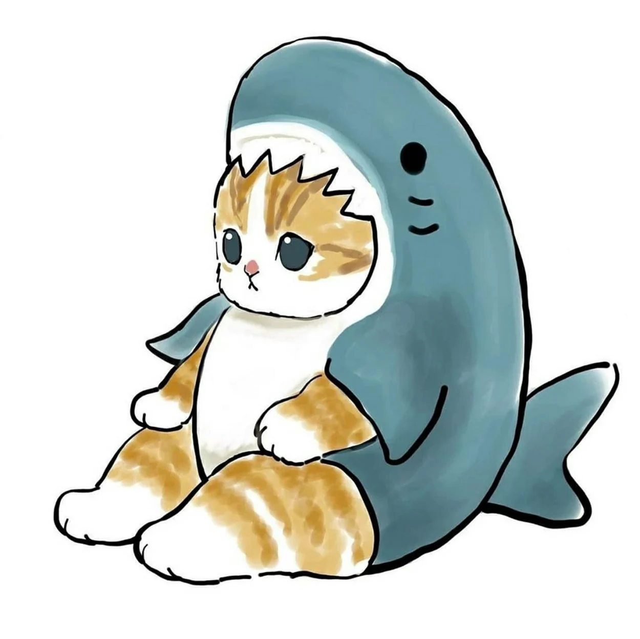 Котик в костюме акулы