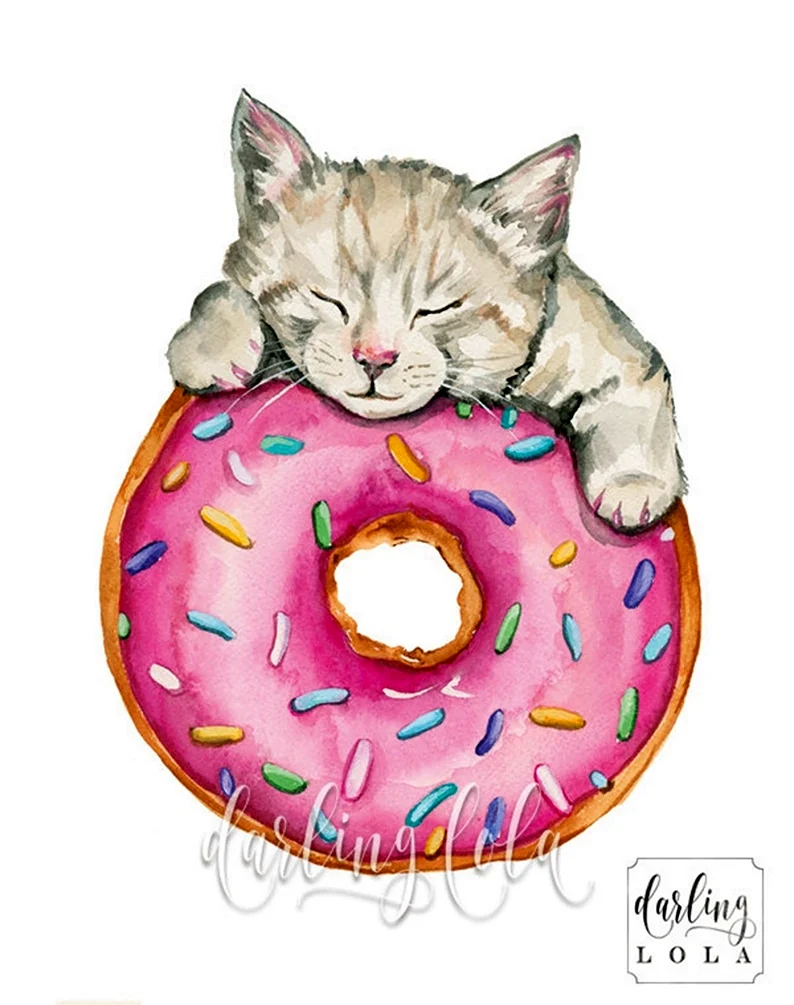 Котик в пончике