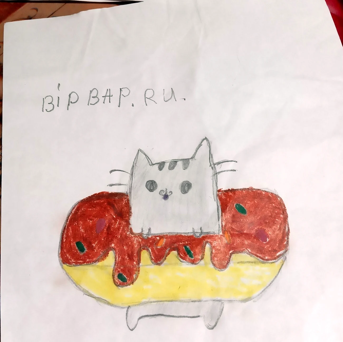 Нарисовать кота в пончике