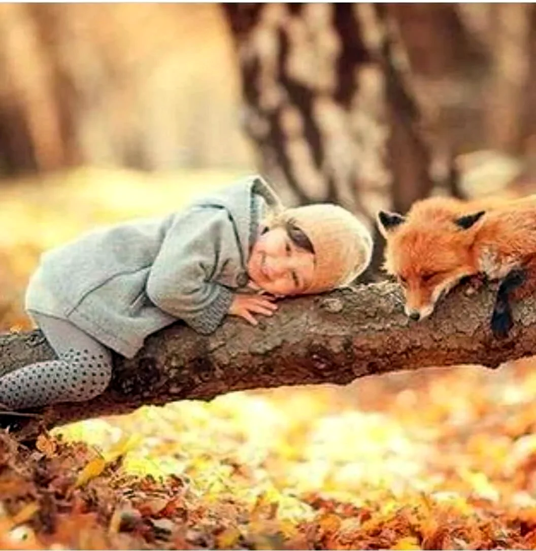 Осень дети и животные