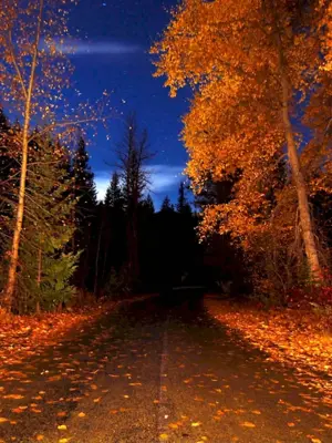Осенняя ночь