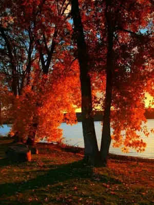 Осенний рассвет
