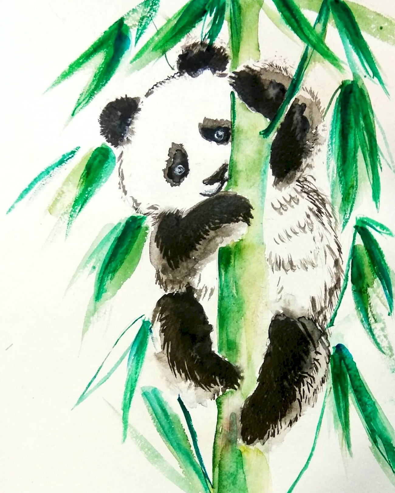 Панда карандашом