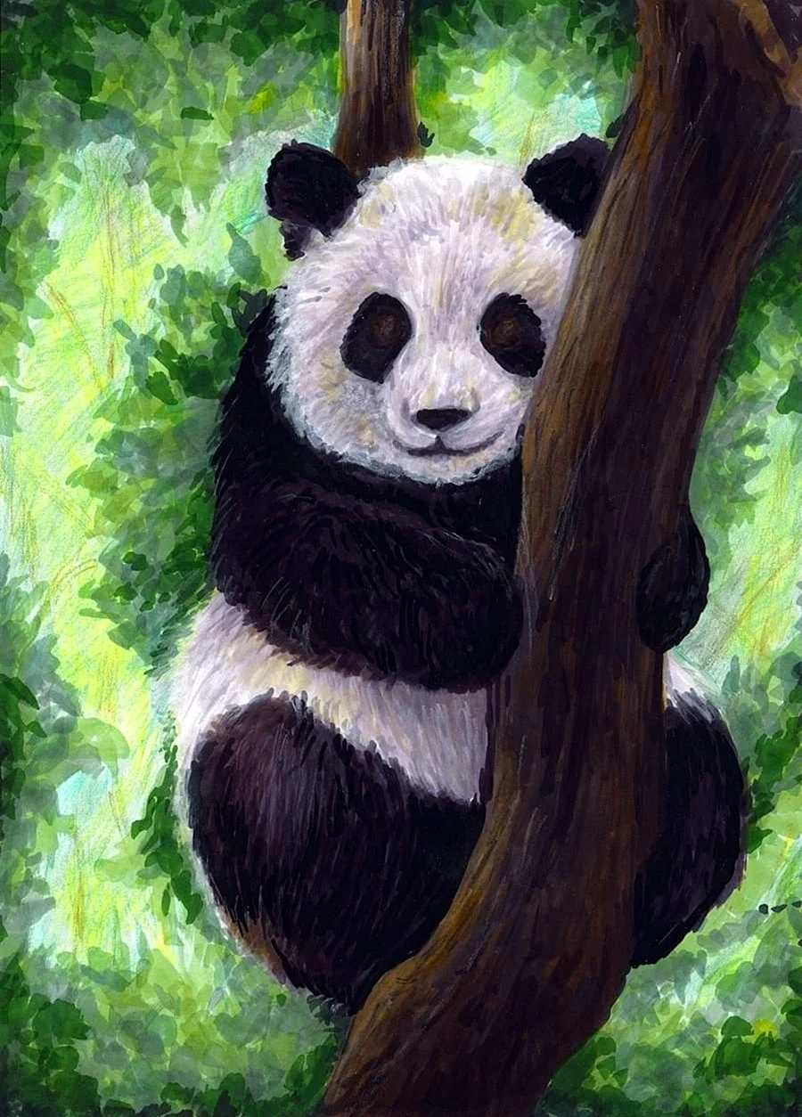 Панда красками