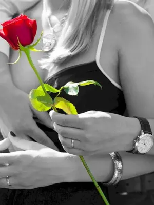 Парень дарит розы девушке