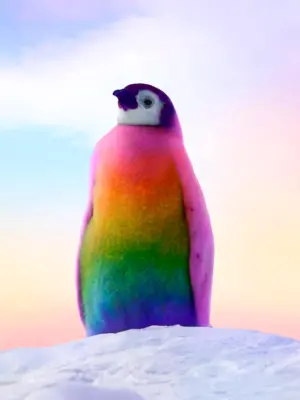 Радужный Пингвин