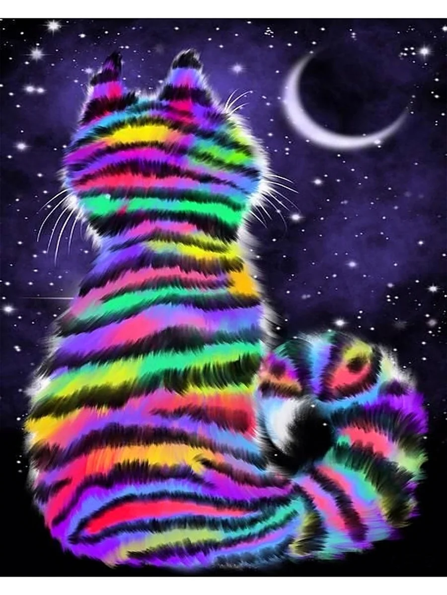 Разноцветный кот