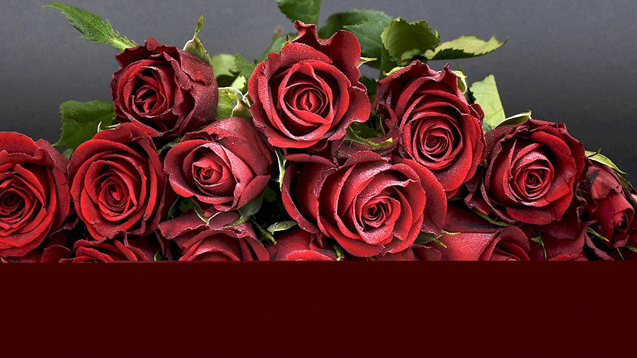 С днем рождения бордовые розы