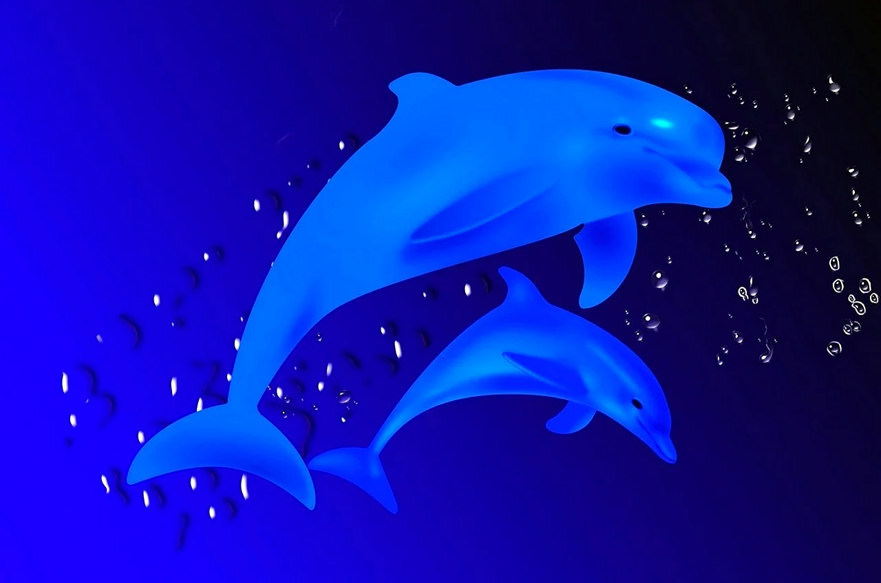 Синие дельфины
