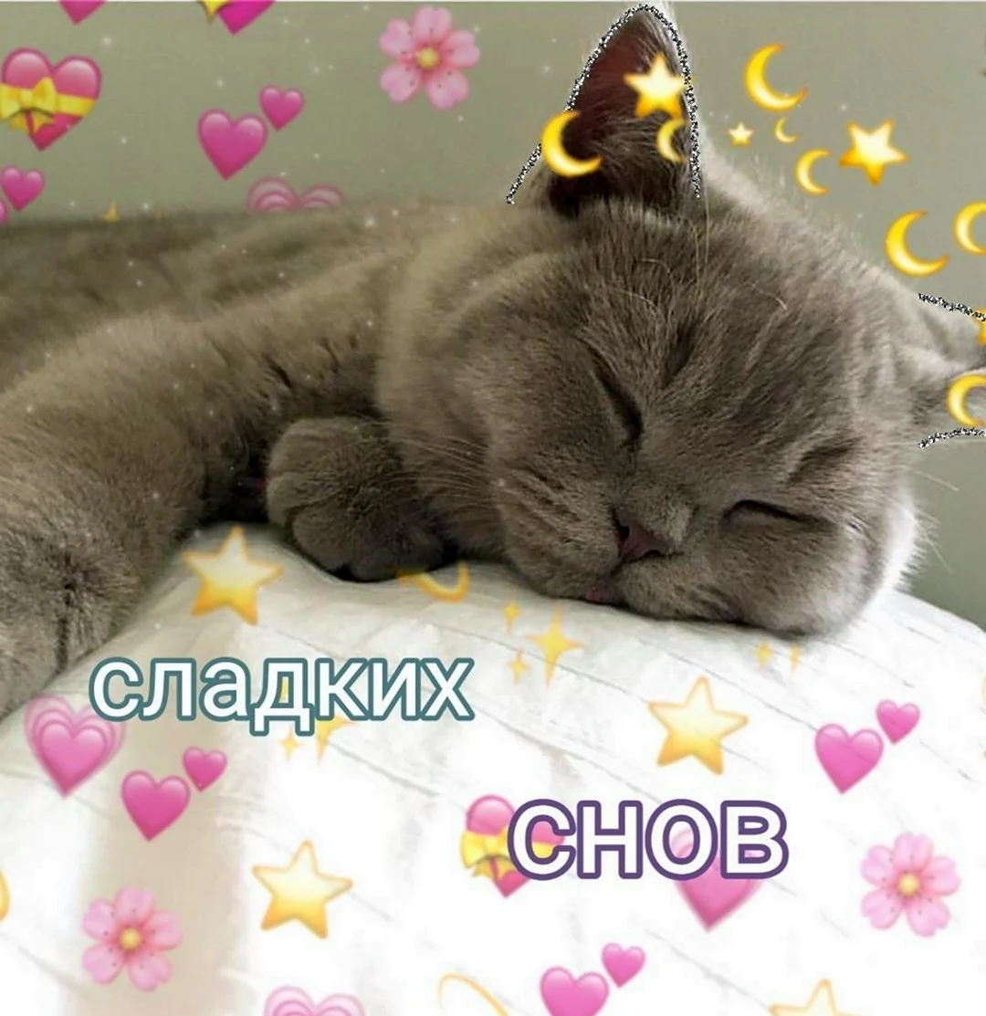 Сладких снов котик с сердечками