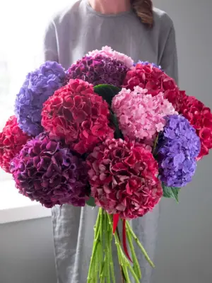 Цветы гортензия букет