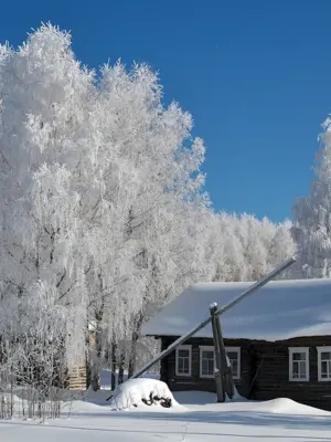 Тульская деревня зимой