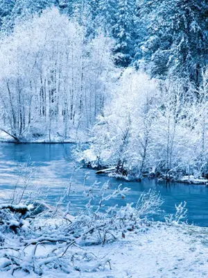 Зимняя природа