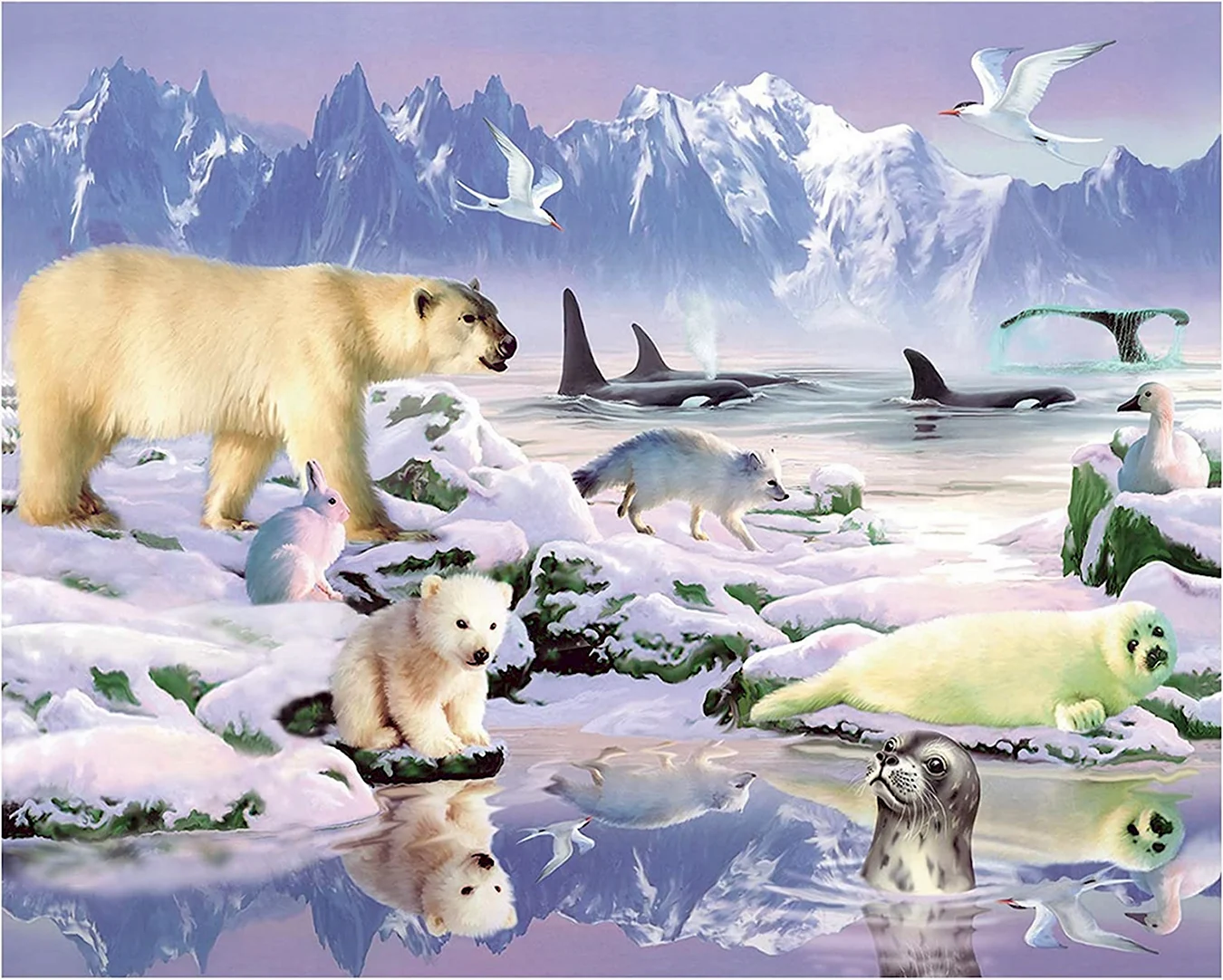 Арктика животные Арктики