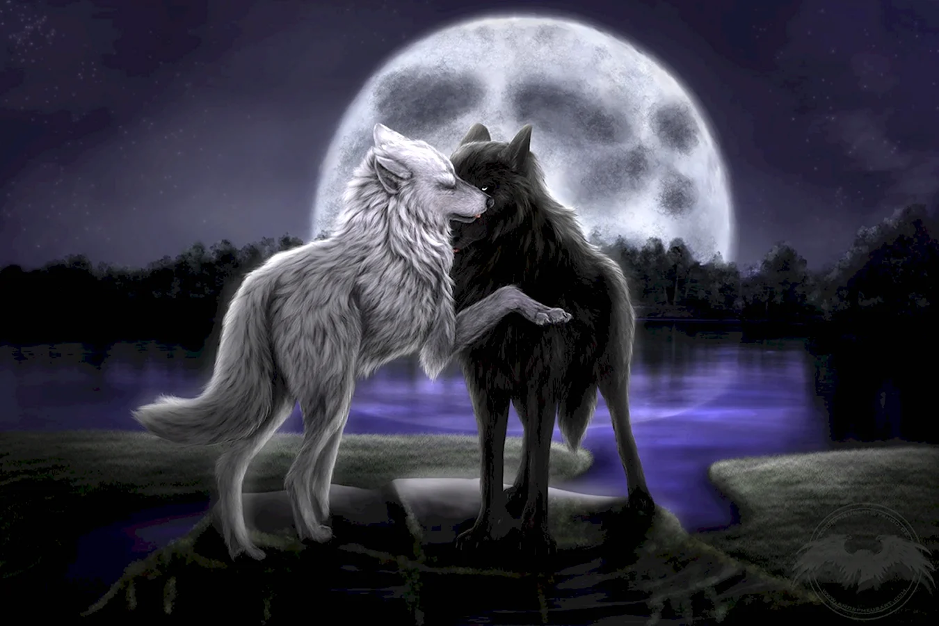 Черный волк и волчица аниме