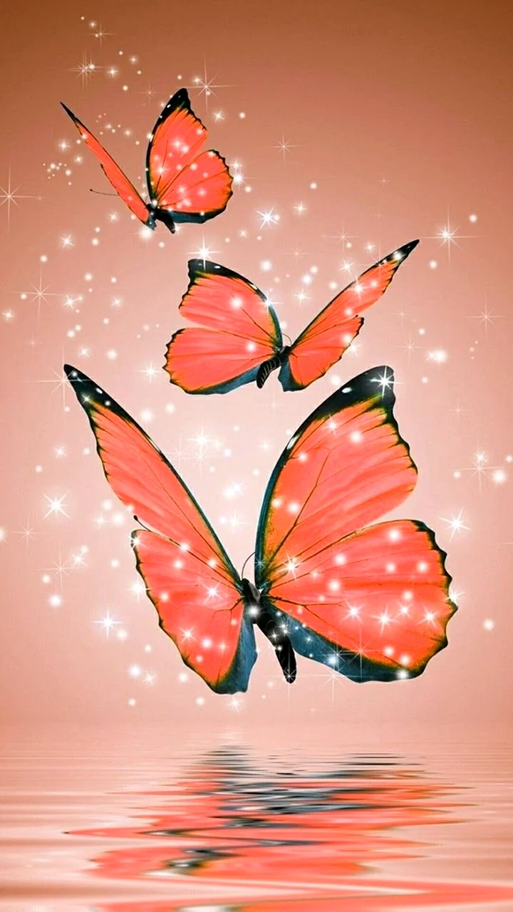 Фотообои бабочки