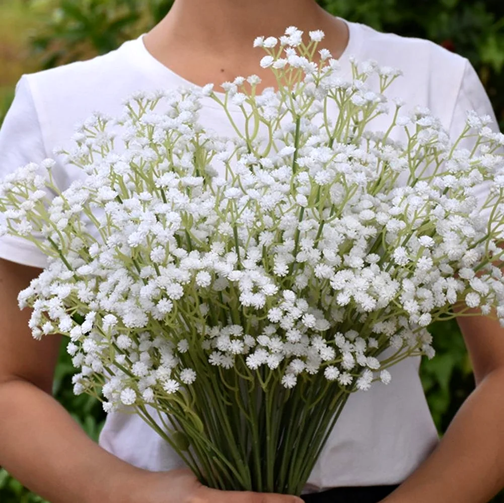 Гипсофила белая Кружевница. Gypsophila цветок. Гипсофила Цветущая. Шипсоф гипсофила.