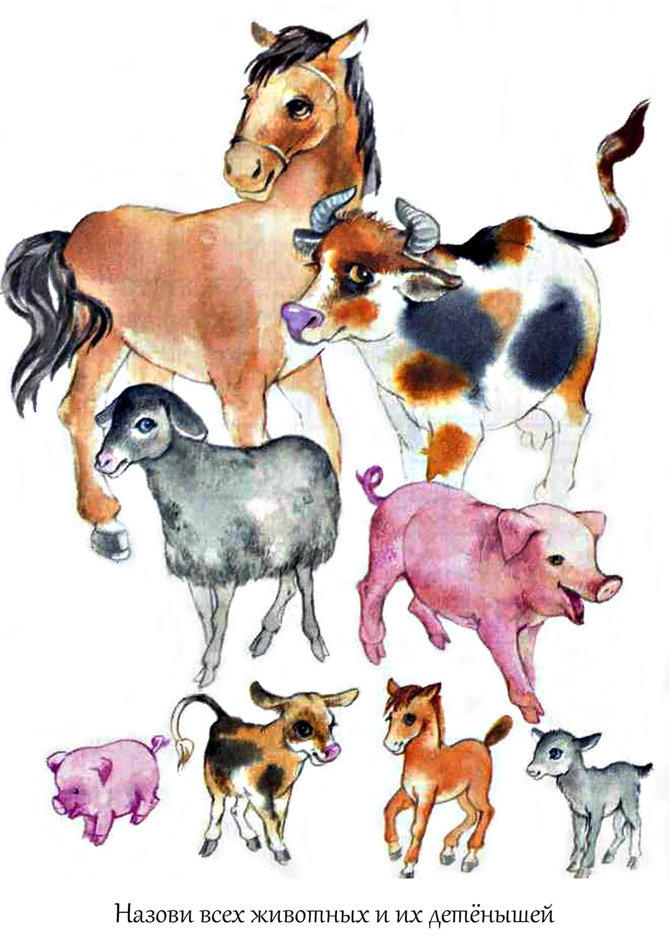 Иллюстрации с домашними животными