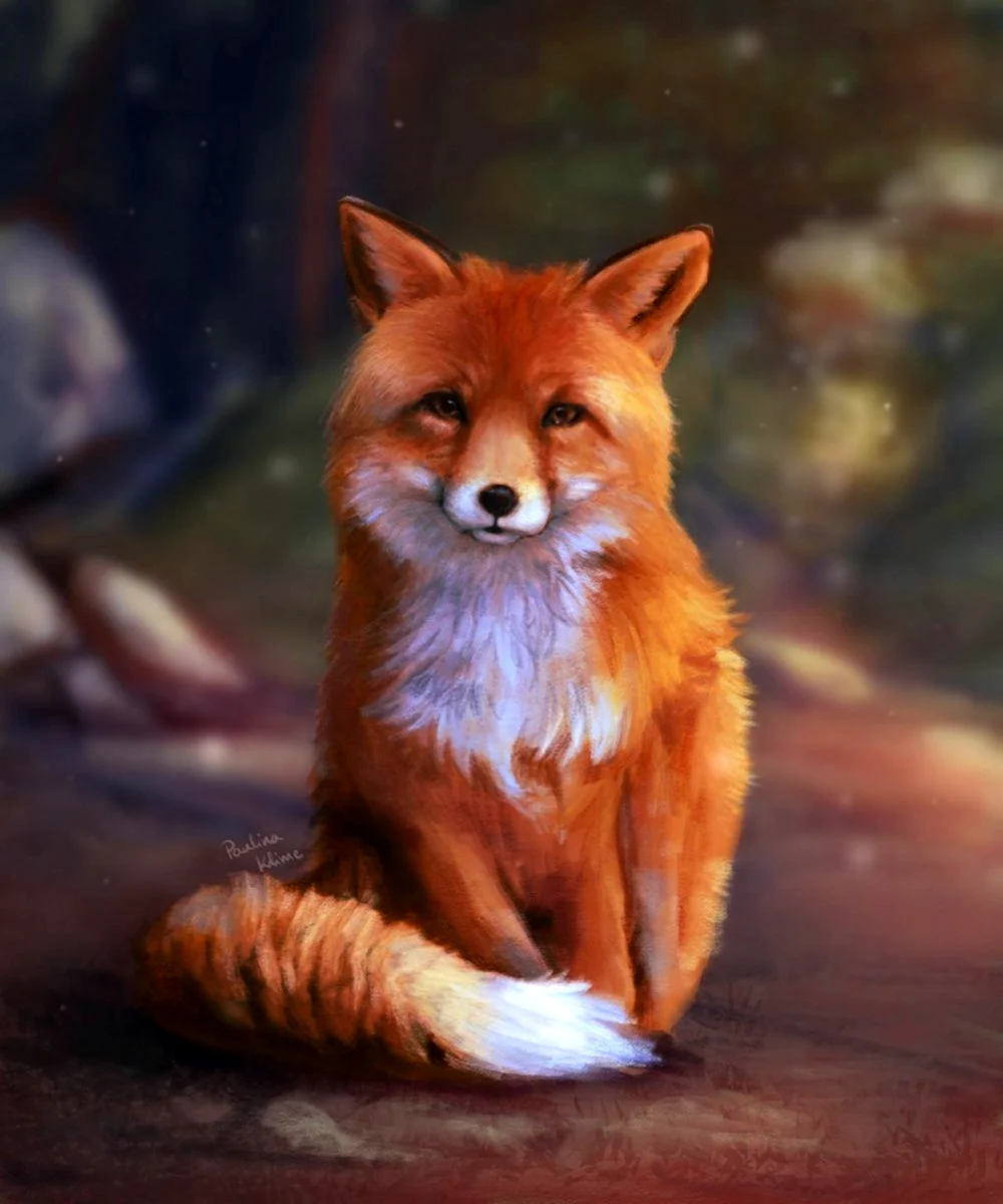 Картинки с изображением лисы