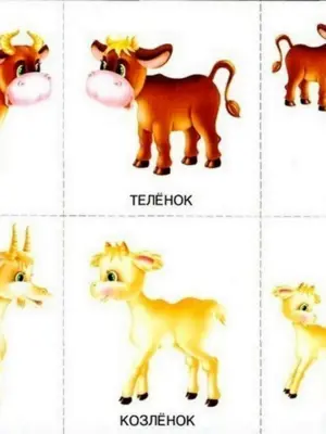 Карточки домашних животных мамы и их Детеныши для детей