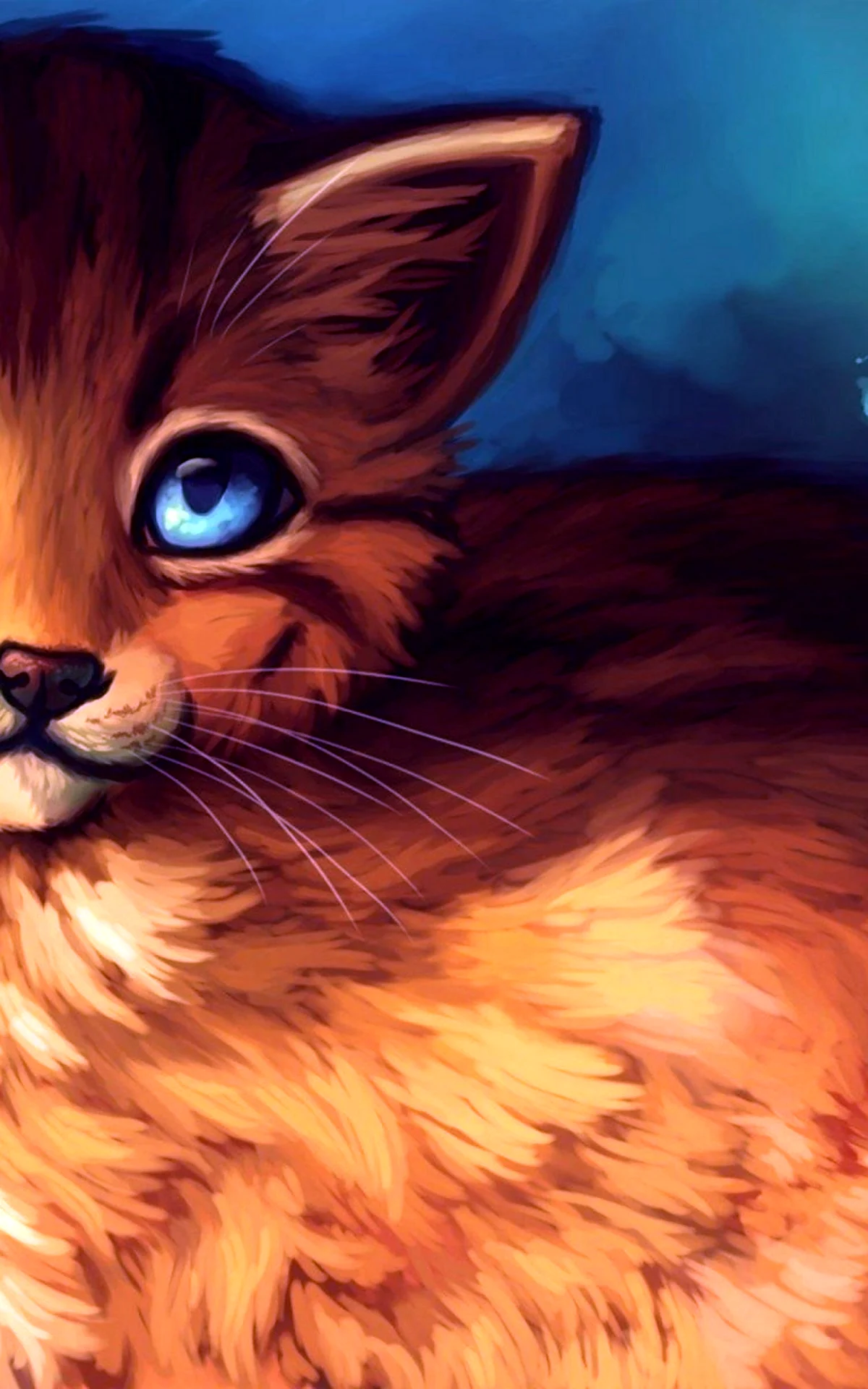 Коты Воители рыжий кот с голубыми глазами