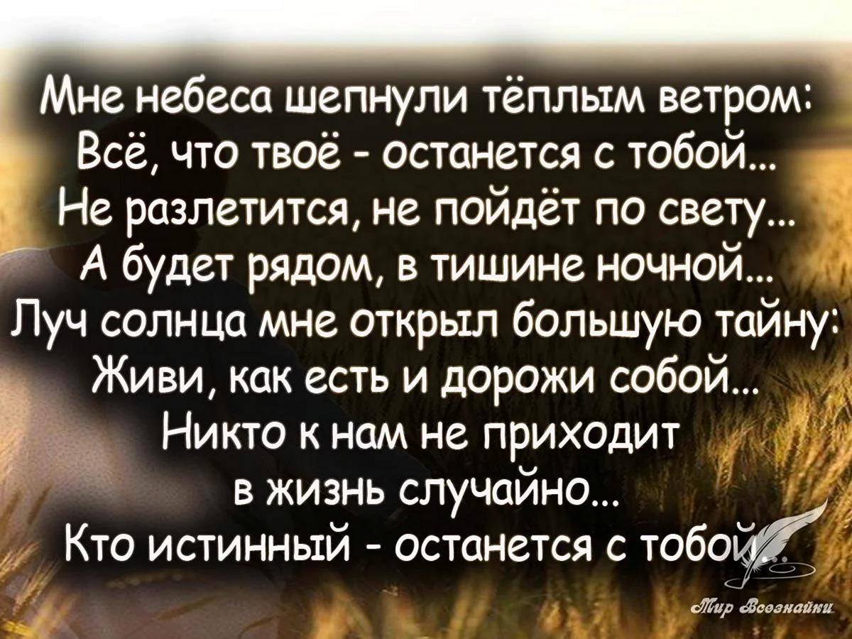 Стихи про жизнь красивые короткие со смыслом. Стихи красивые со смыслом. Стихи про отношения. Красивые фразы стихи. Красивые Мудрые стихи.