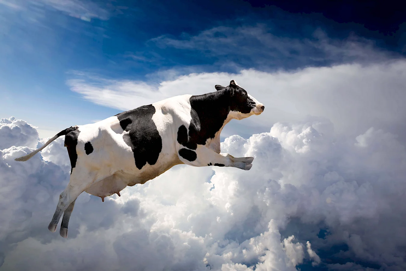 Летающая корова Торнадо