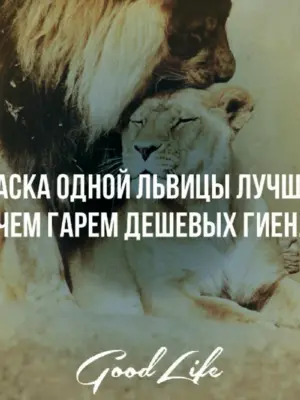 Лев и львица с надписями