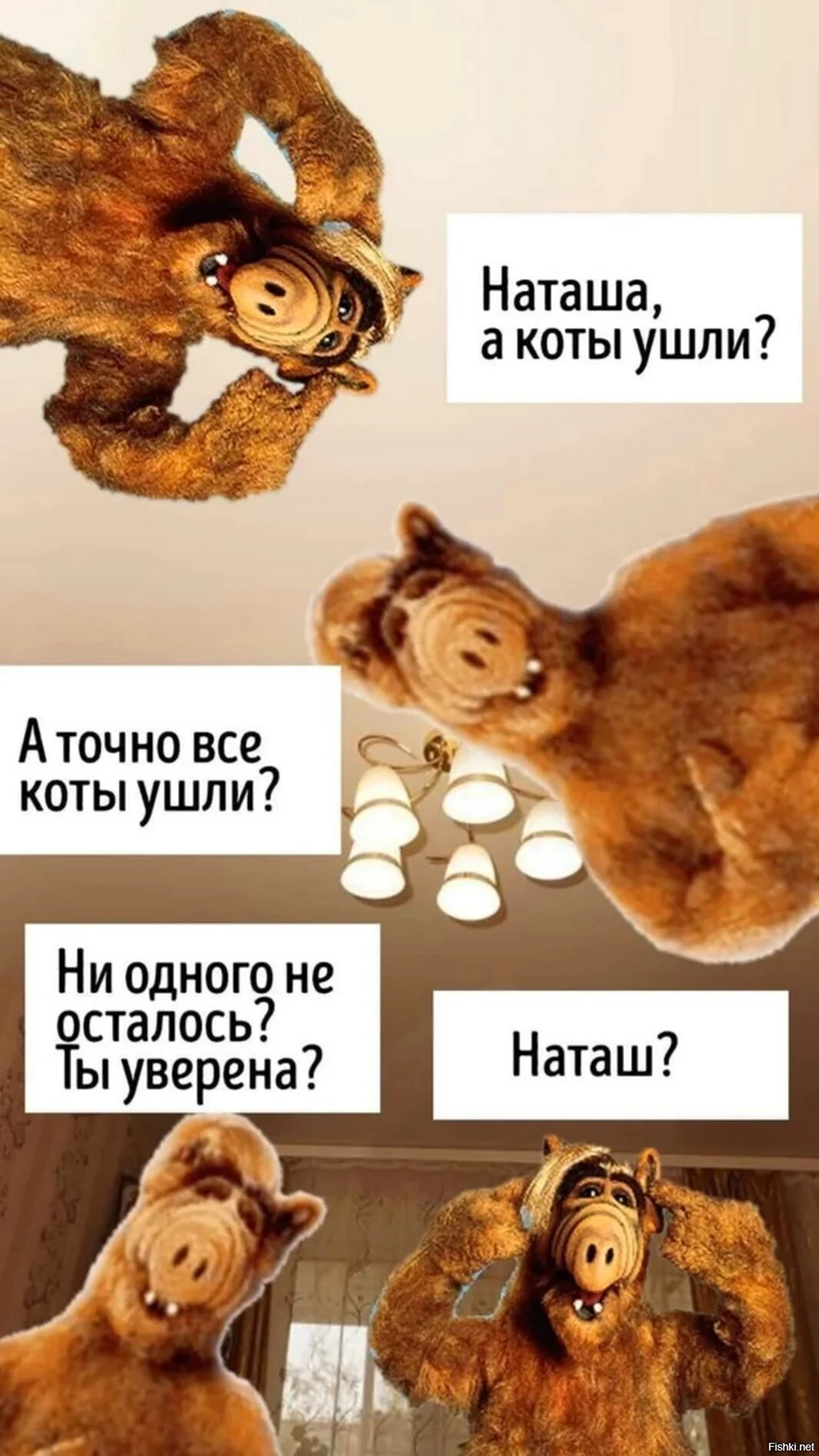 Наташка проснулась. Мемы с котами и Наташей. Наташа и коты мемы. Наташа вставай коты. Мемы про Наташу.