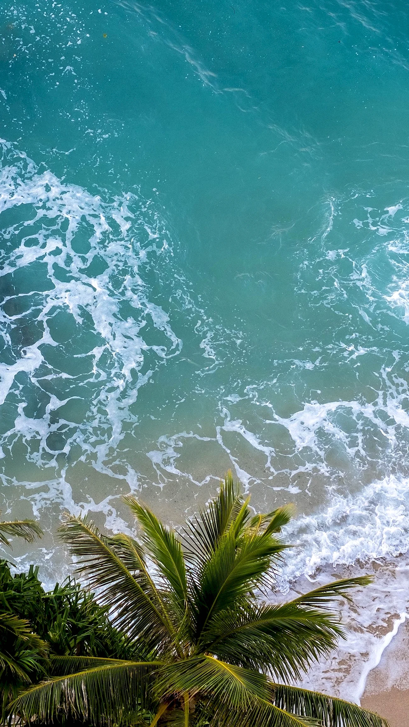 Море волны пальмы