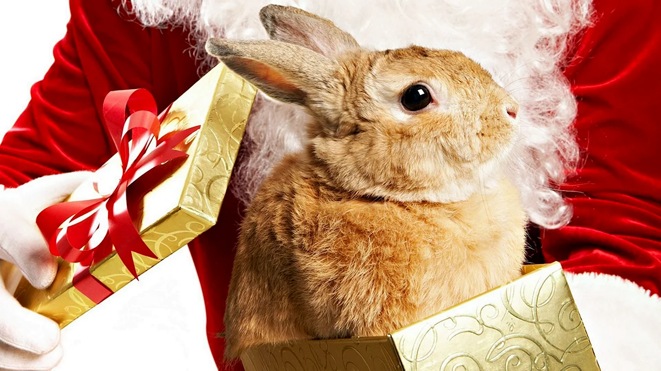 Новогодний кролик фото