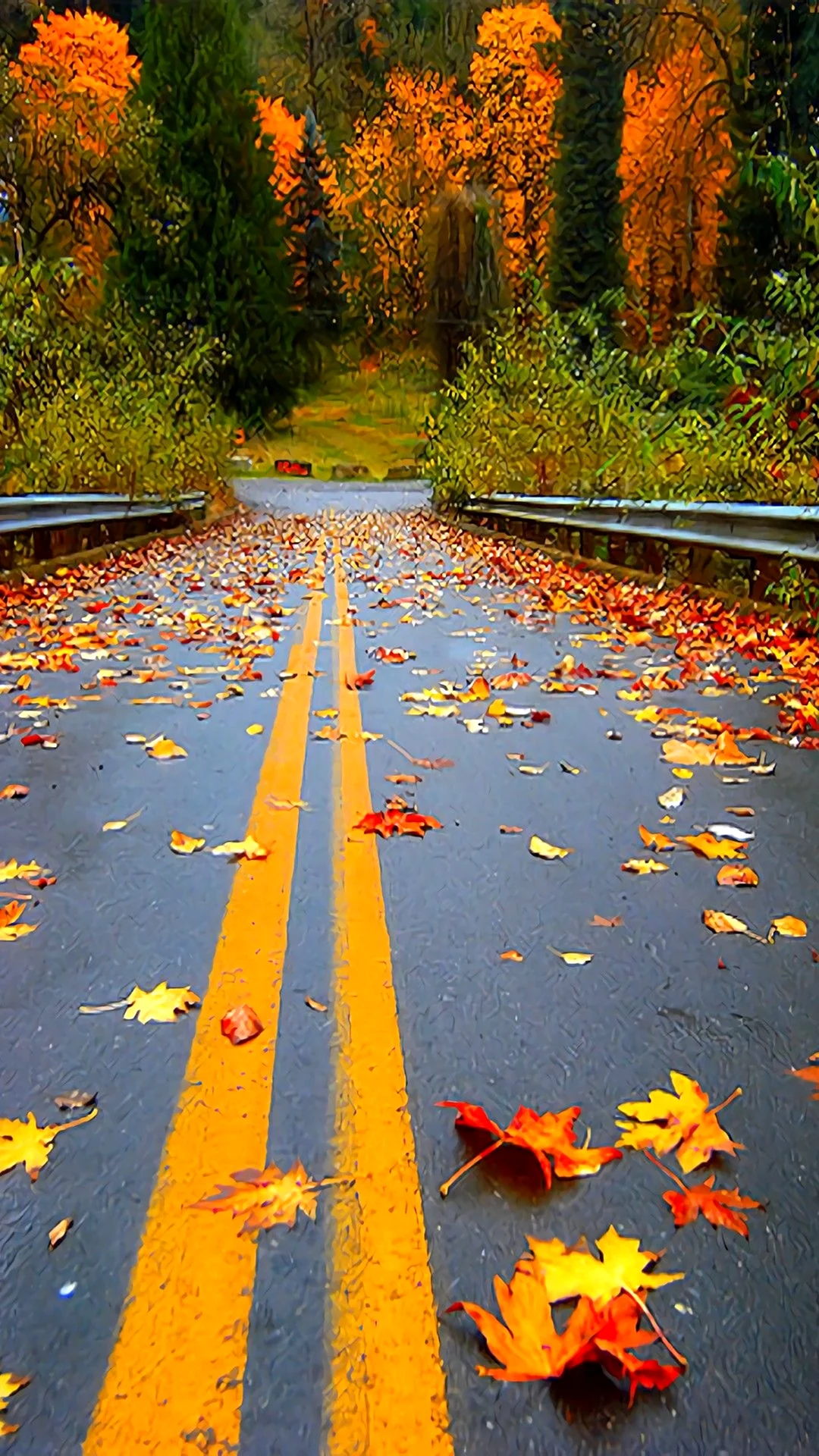 Осенние листья на дороге