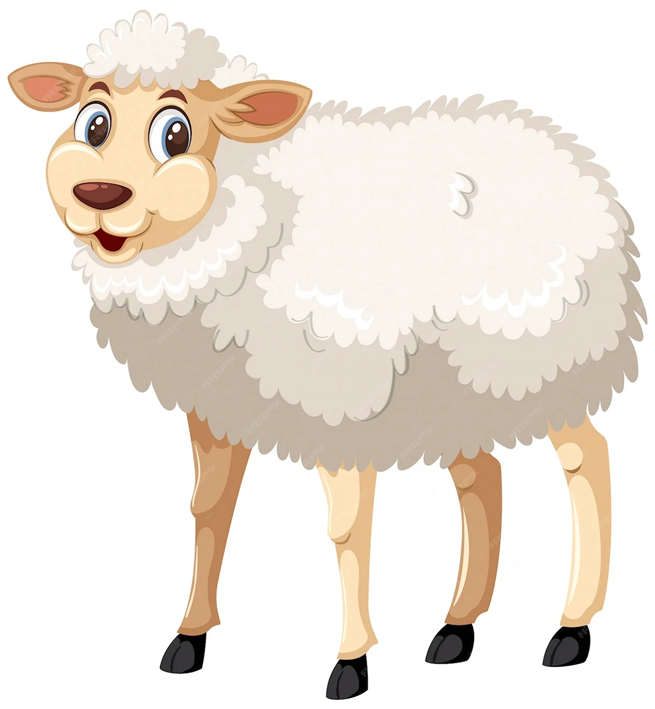 Овца на белом фоне для детей