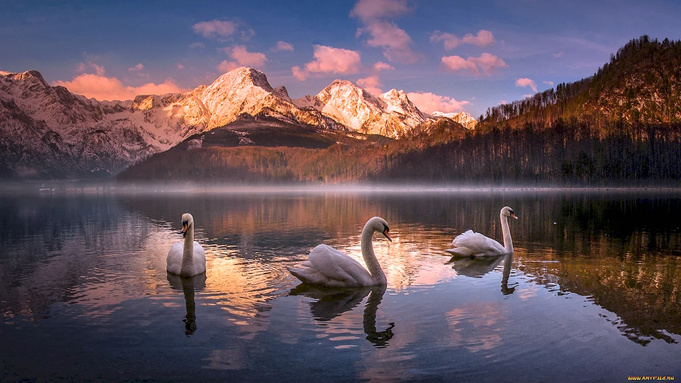 Озеро Альмзе Австрия