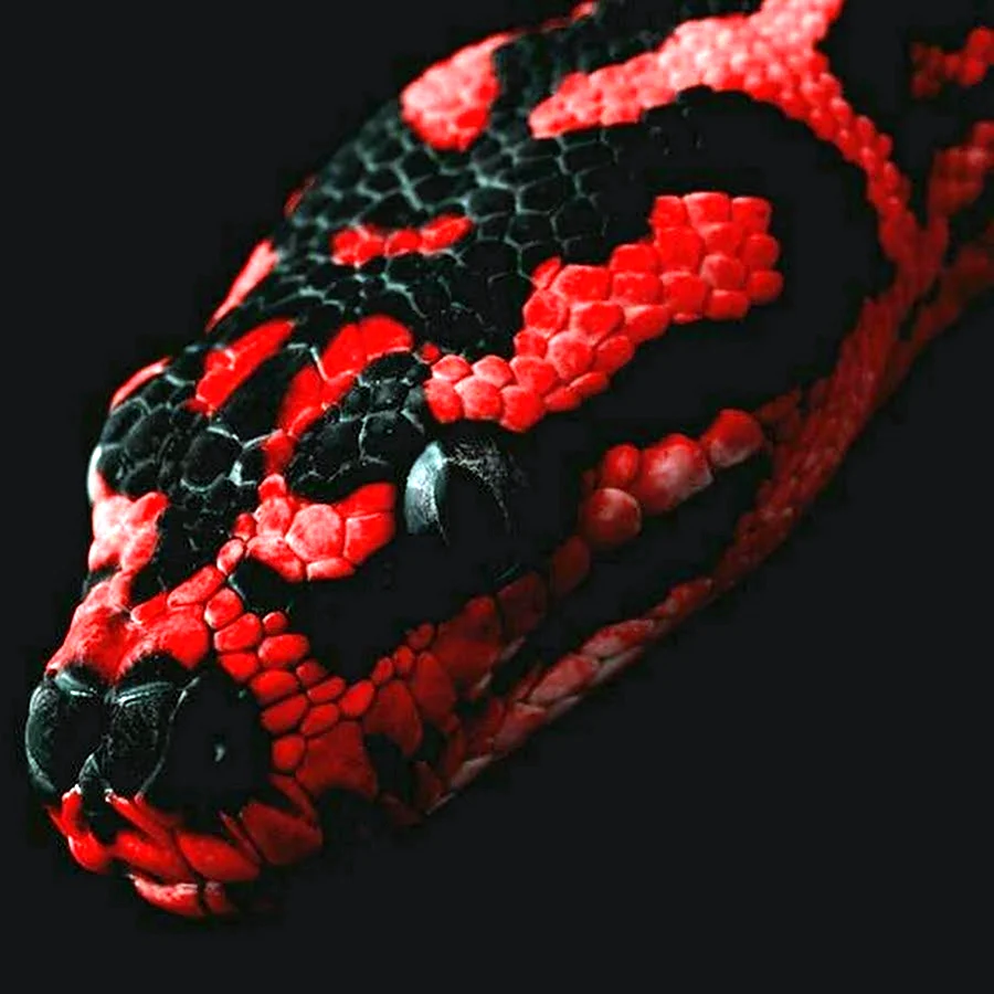 Pixel Snake
