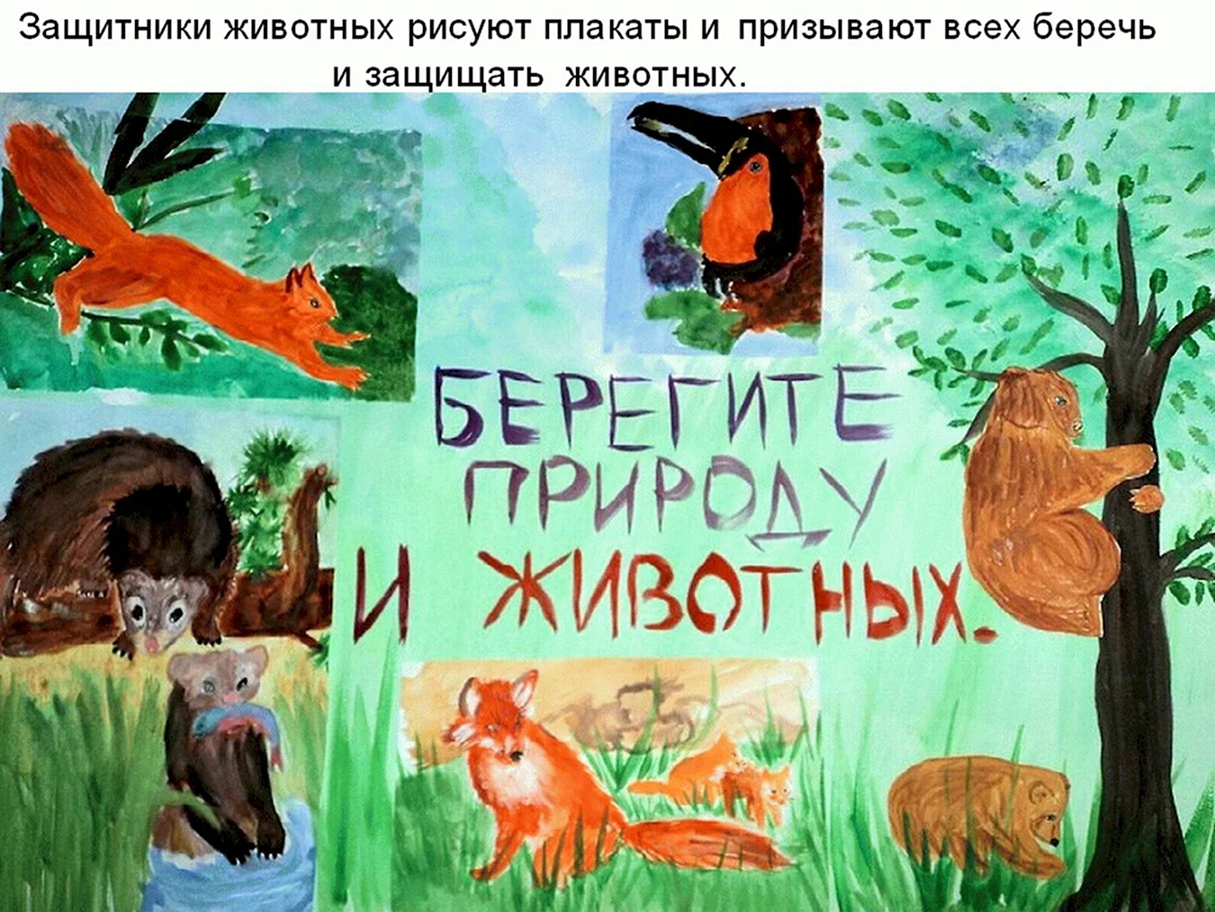 Плакат берегите животных