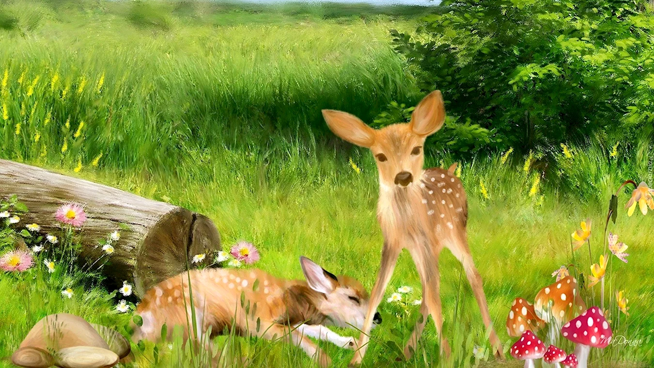 Природа с животными