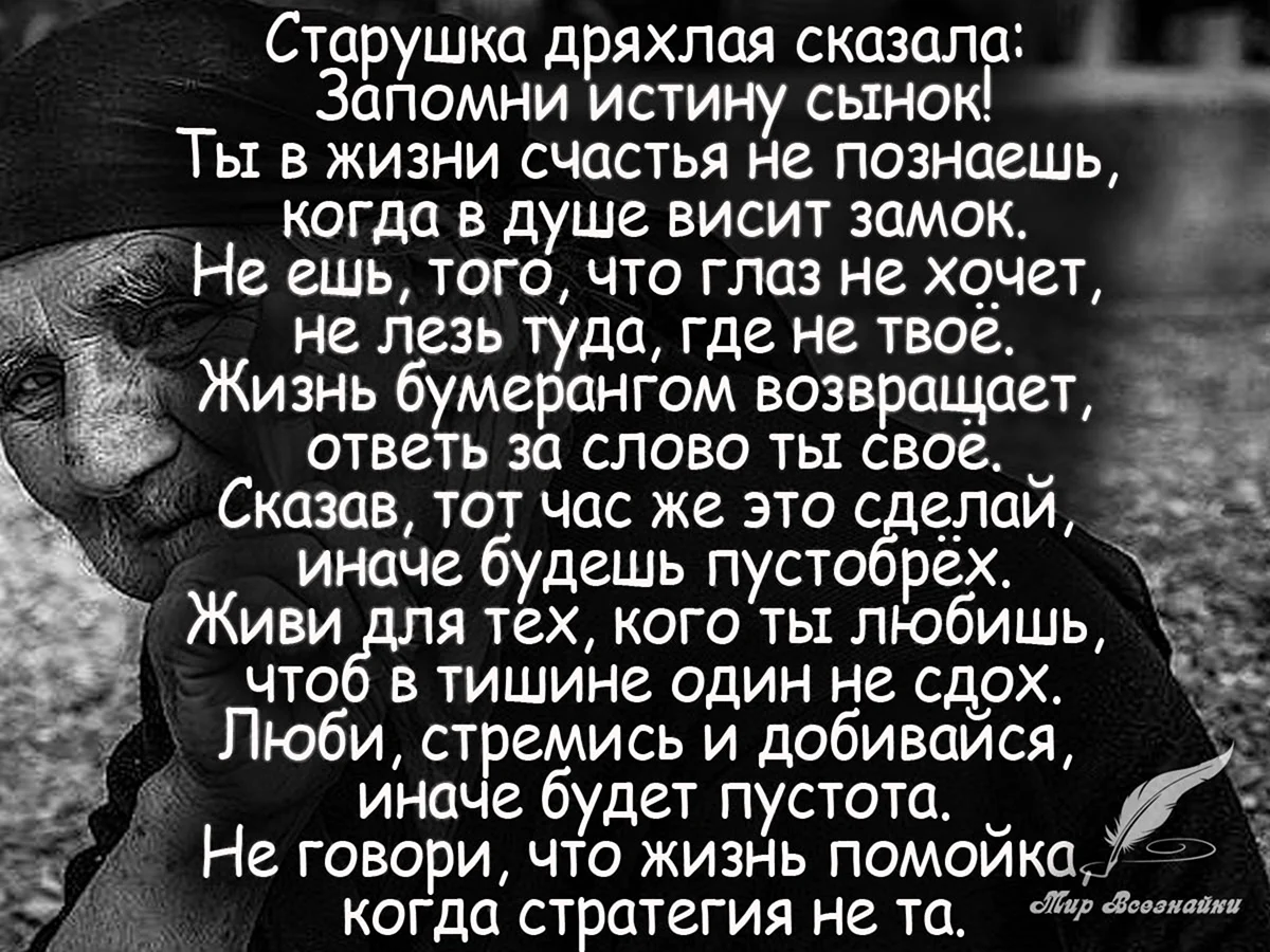 Стихи жизни картинки. Стихи о жизни. Стихи о жизни со смыслом. Цитаты в стихах о жизни. Стихи о жизни со смыслом красивые.