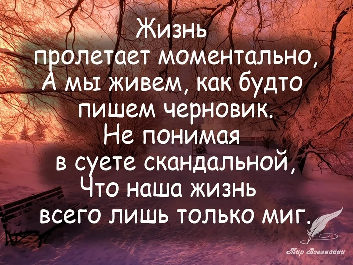 Жизнь стихи цитаты. Цитаты про жизнь. Красивые и умные цитаты со смыслом. Красивые Мудрые цитаты. Афоризмы про жизнь.