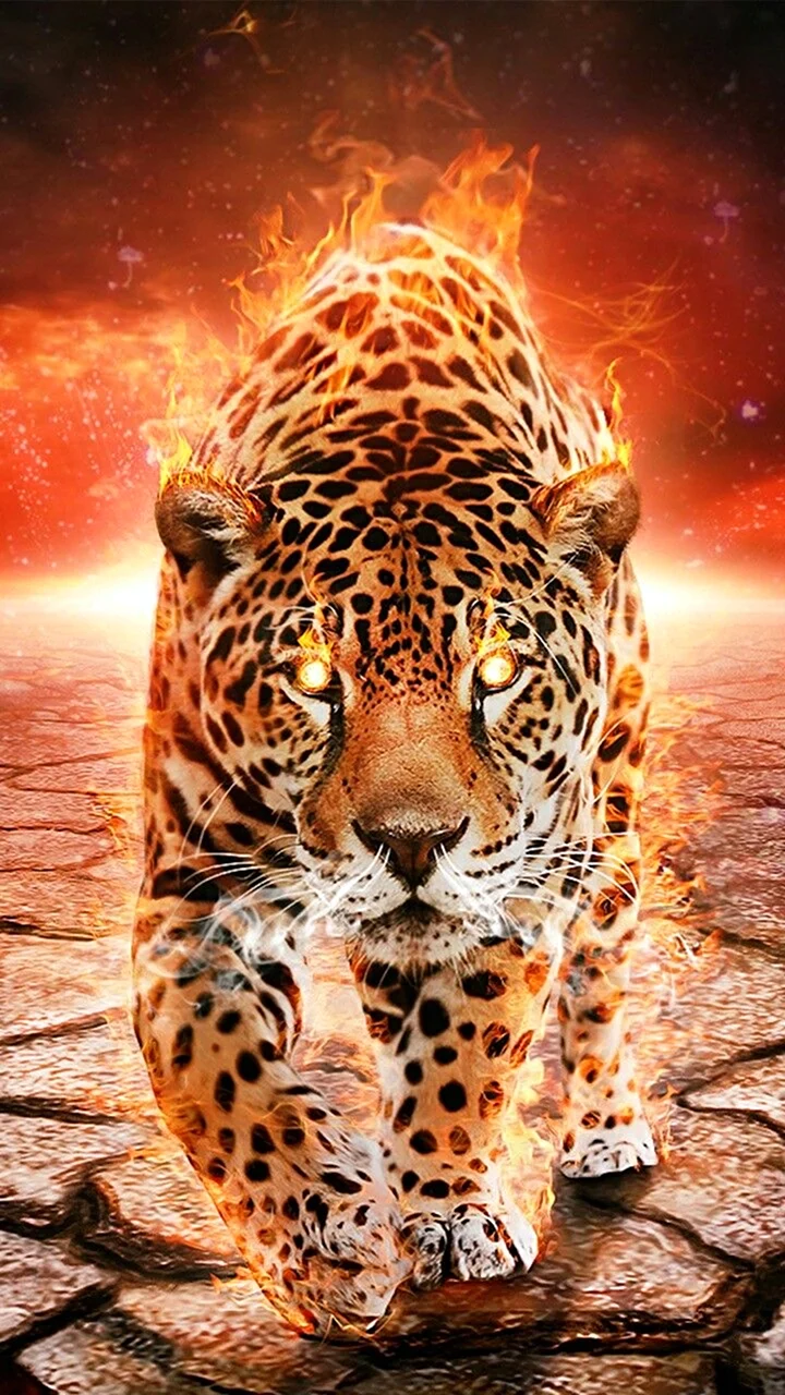 Тигр леопард гепард Ягуар