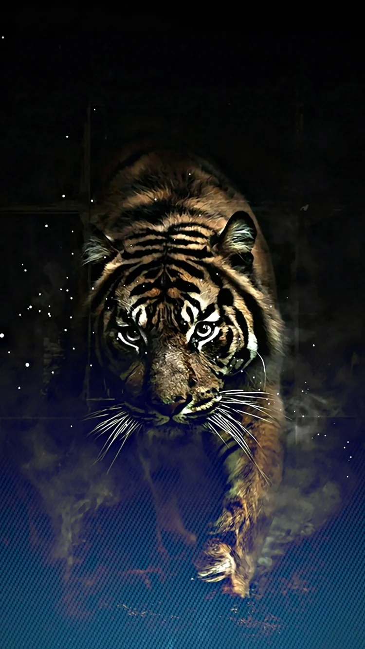 Тигр на экран телефона